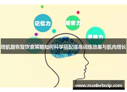 增肌期恢复饮食策略如何科学搭配提高训练效果与肌肉增长